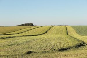 landscape, agriculture, meadow, hay, rural, outdoors, nature, landscape, landscape, landscape, landscape, landscape, agriculture, meadow, meadow, meadow, rural